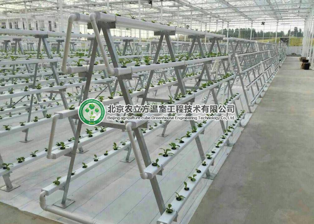 立體無土栽培設(shè)備，菜居然能種在空中！ 